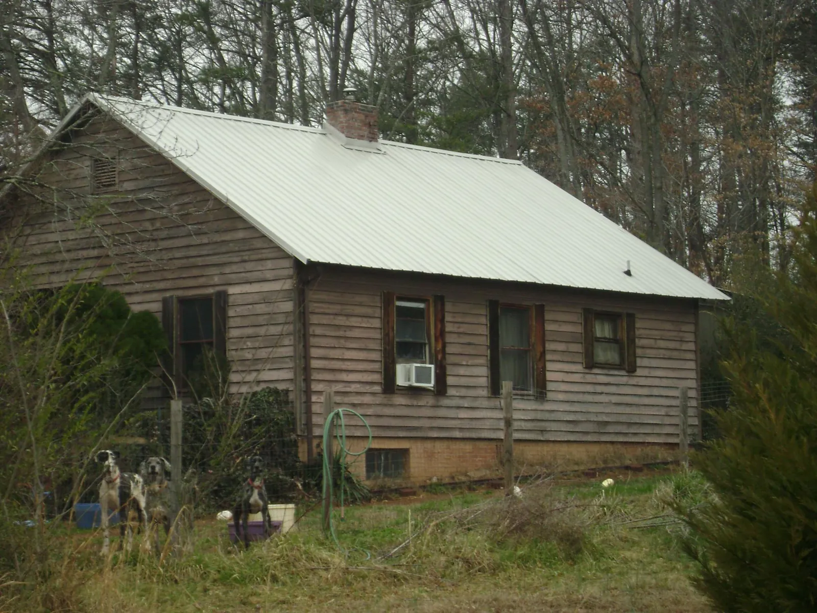 White metal roof on an old wood sided farmhouse, from a Asphalt Shingle Roof Repair job in What Cheer